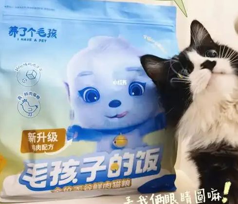 粮！三只松鼠靠什么重返宠物食品赛道ky开元棋牌零食巨头盯上毛孩子口