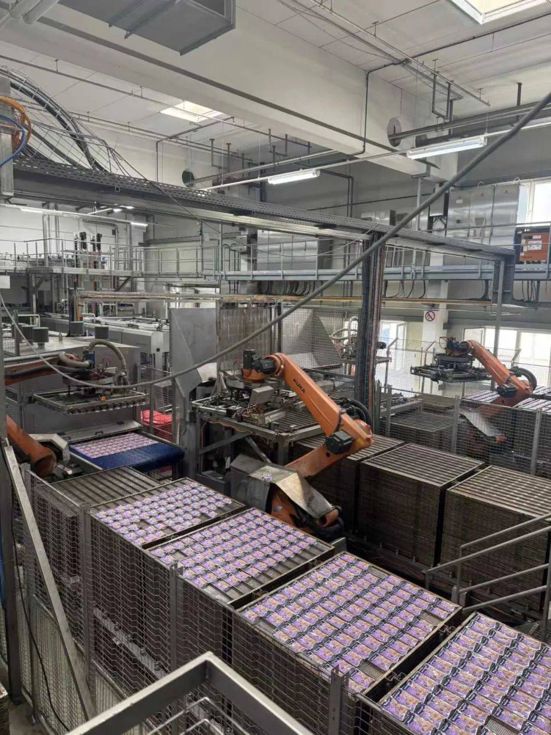 物食品市场百年德企开启中国式新战略开元棋牌app用德国品质赋能中国宠(图6)