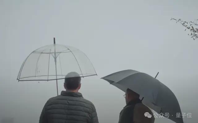 2025最大AI赢家的凡尔赛年度总结哈萨