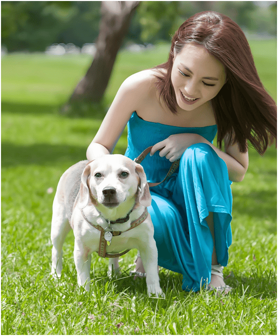 链分析：现状、痛点、需求、趋势开元棋牌网站宠物食品行业产业(图2)