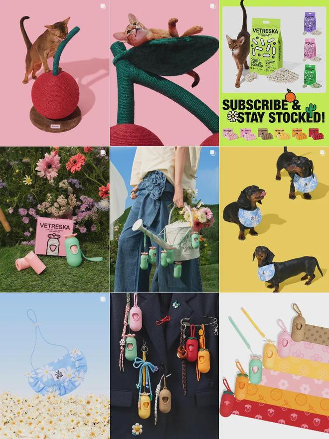 美把160美元的猫爬架卖成了爆款开元棋牌