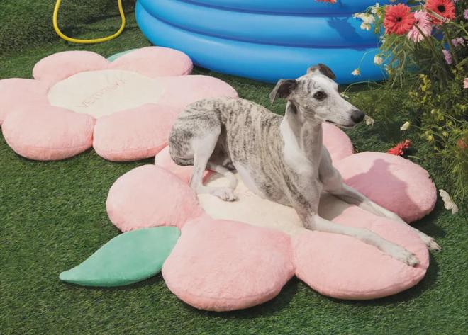 美把160美元的猫爬架卖成了爆款开元棋牌你没听过的上海品牌在北(图4)