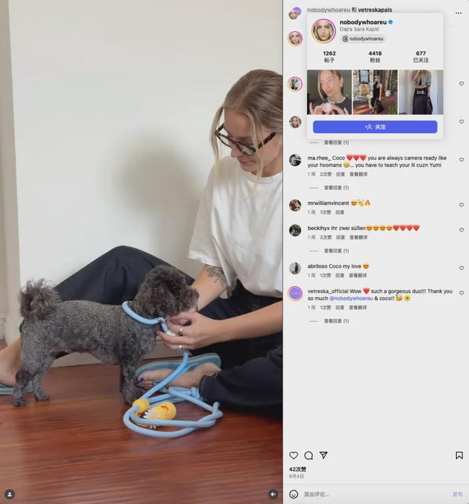 美把160美元的猫爬架卖成了爆款开元棋牌你没听过的上海品牌在北(图6)