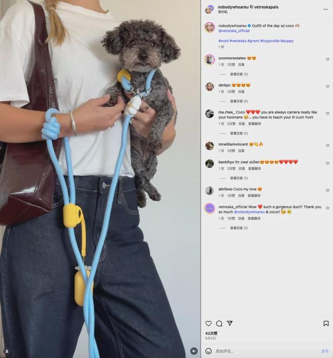 美把160美元的猫爬架卖成了爆款开元棋牌你没听过的上海品牌在北(图5)