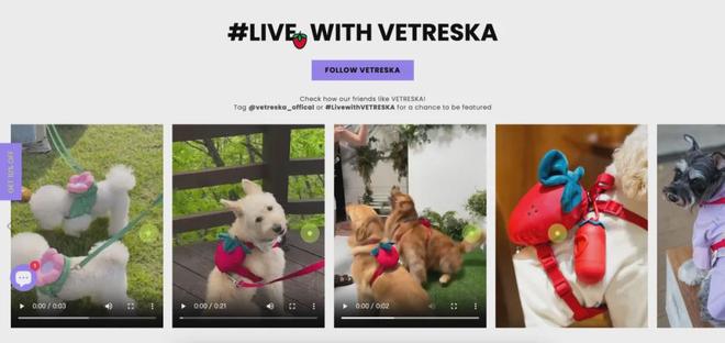 美把160美元的猫爬架卖成了爆款开元棋牌你没听过的上海品牌在北(图8)