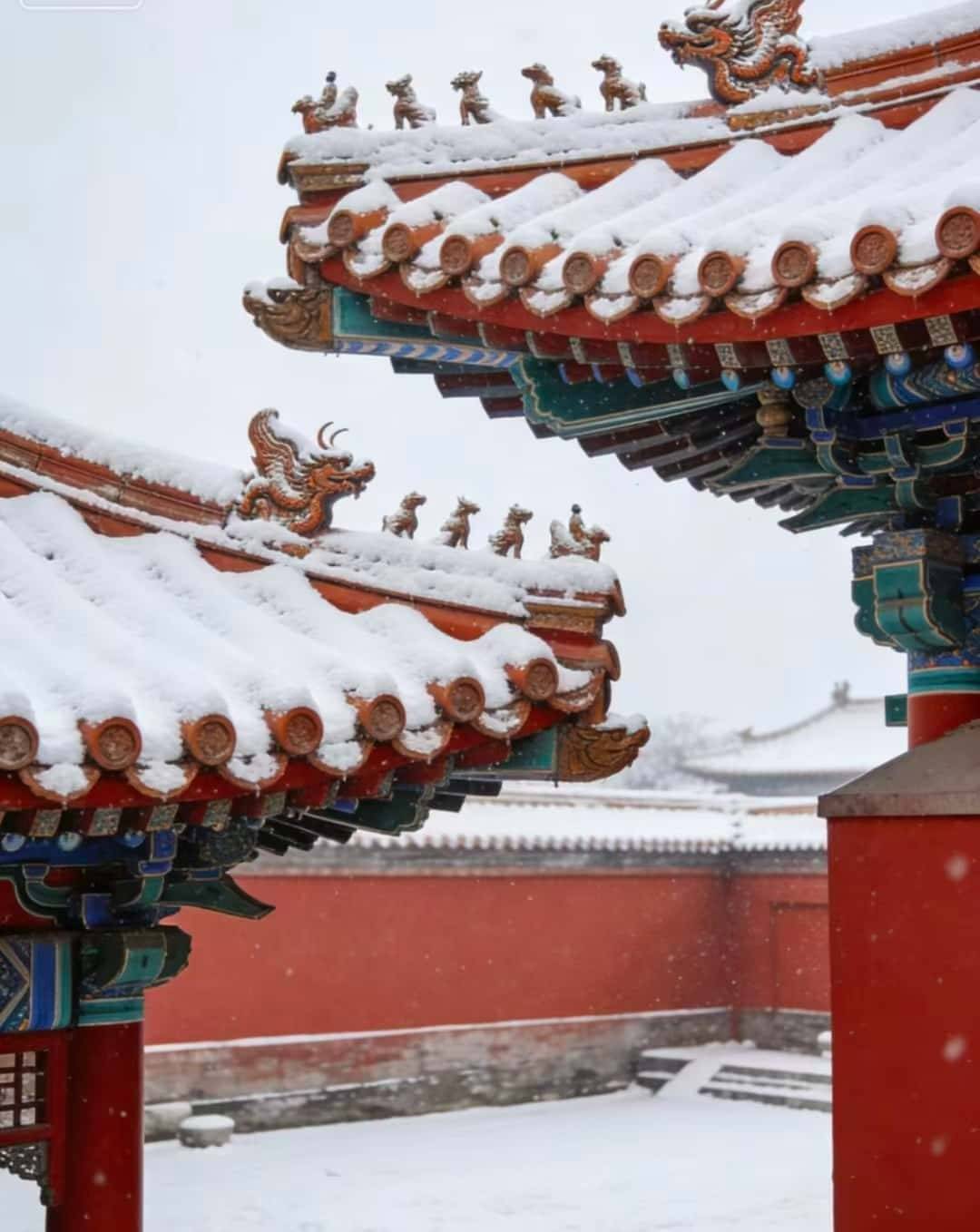 遗体验亲测靠谱纯玩无隐性消费前十推荐全家庭实用干货(1)开元棋牌北京五天四晚亲子避坑游!环球度假区 + 胡同非(图2) 遗体验亲测靠谱纯玩无隐性消费前十推荐全家庭实用干货(1)开元棋牌北京五天四晚亲子避坑游!环球度假区 + 胡同非(图2)